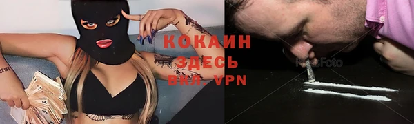 гидра Балахна