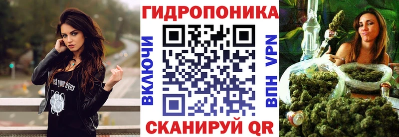 как найти закладки  Заречный  Бошки Шишки семена 